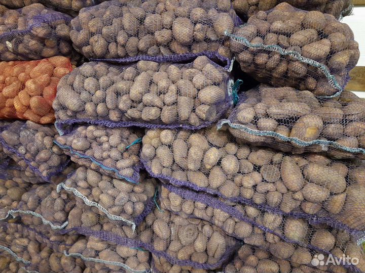 Продам картофель некондиция
