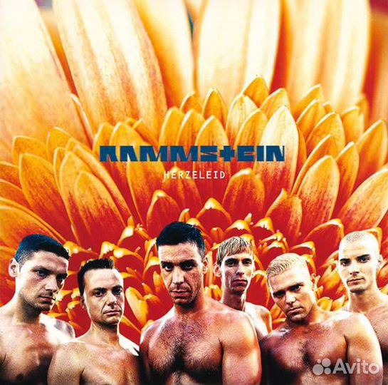 Виниловые пластинки Rammstein
