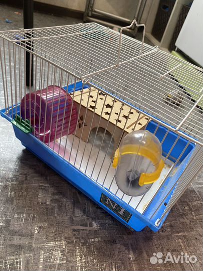 Клетка, корм, домики, наполнитель для грызунов