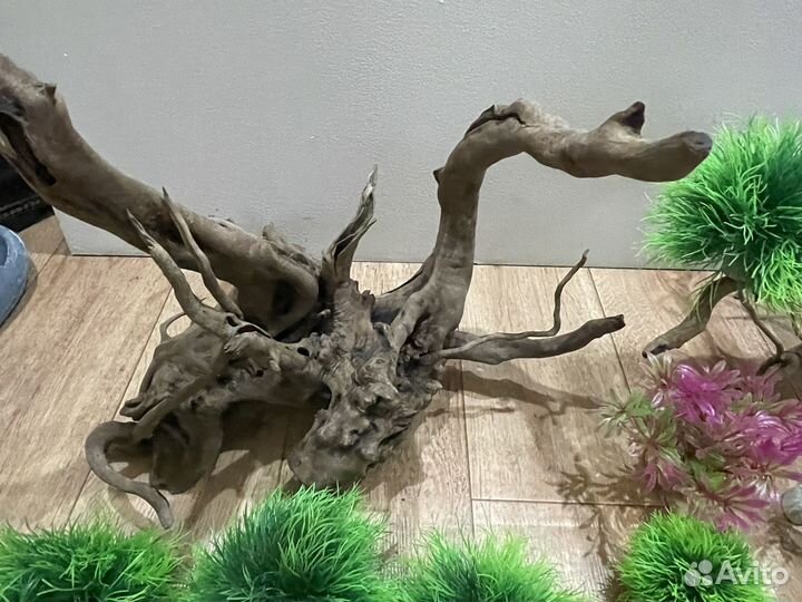 Коряги и декор