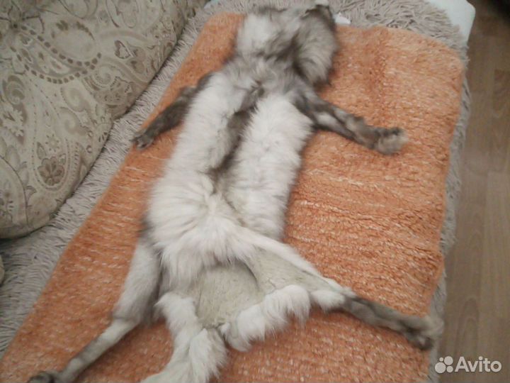 Готовый воротник, новый