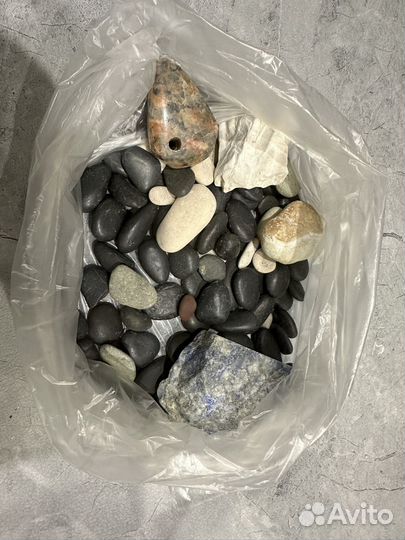 Аквариум для черепах