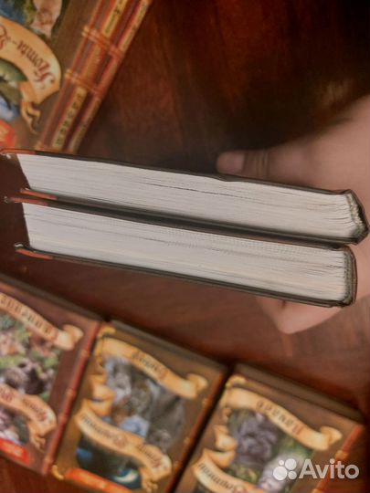 Коты воители специздание