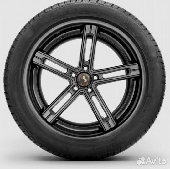 Continental ContiWinterContact TS 830 P 255/35 R19 96V