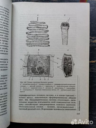 Биология для поступающих в вузы