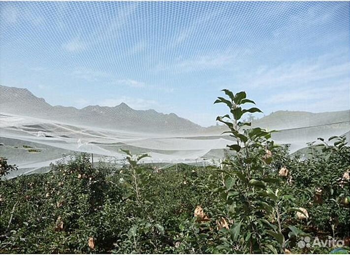 Сетка для защиты сельхозпродукции 60г/м2