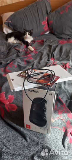 Блютуз колонка JBL Charge 5 новая