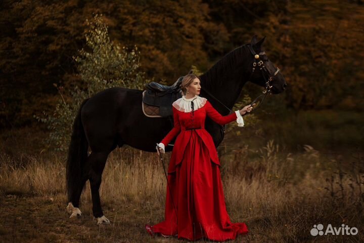 Фотосессия с лошадью, фотограф с животными