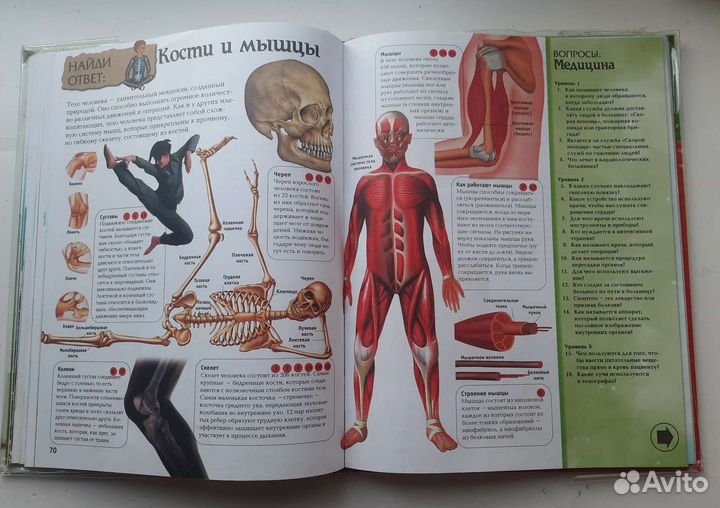 Энциклопедия