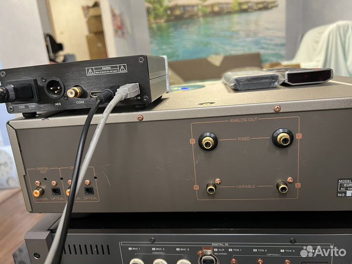 Cd проигрыватель denon dsd s 10 ii