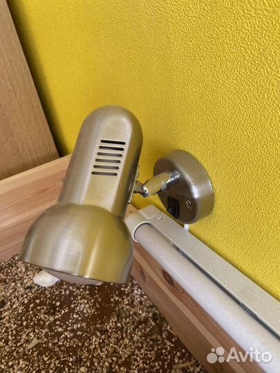 Черепахи сухопутные с террариумом