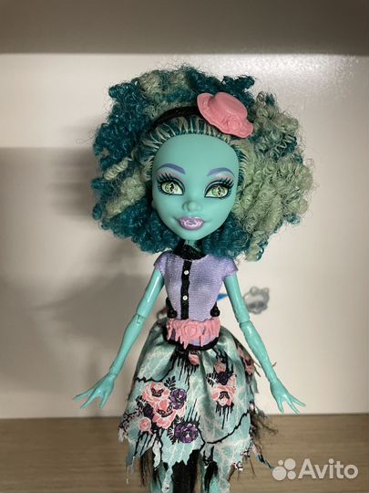 Куклы Monster High редкие базовые