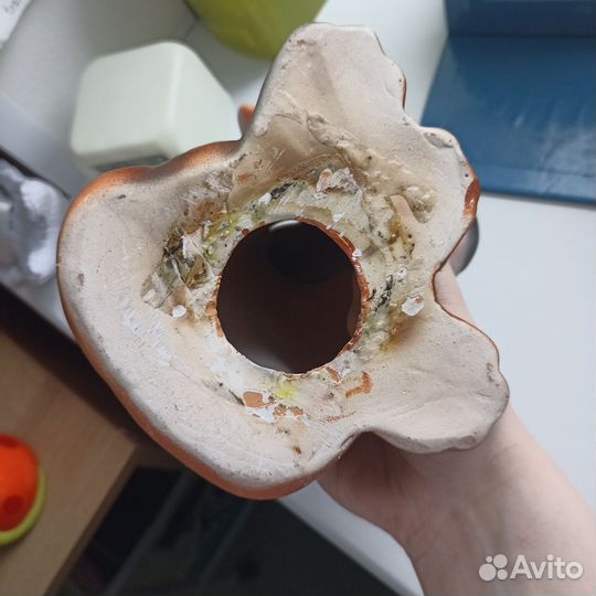 Копилка дня денег собака