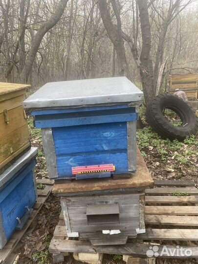 Ульи для пчел