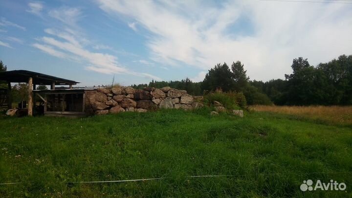 Камни пригородные для ландшафта