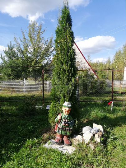 Участок 6 сот. (СНТ, ДНП)