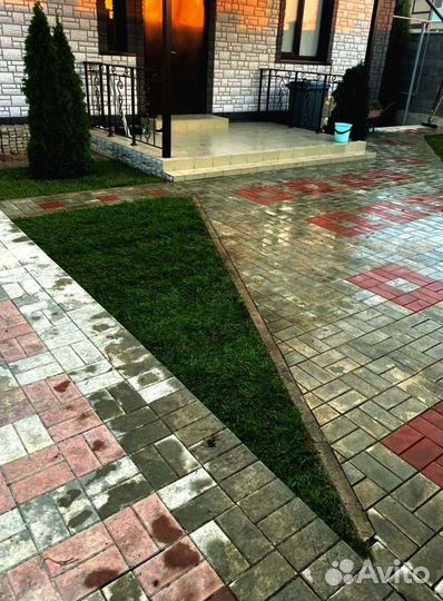 Рулонный газон 