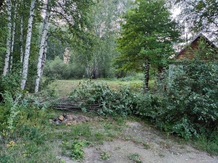 Участок 5,5 сот. (СНТ, ДНП)