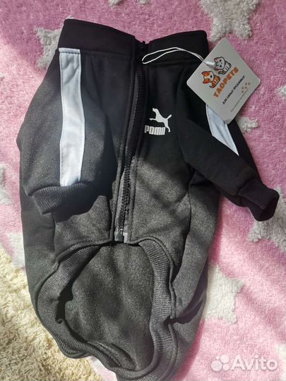 Кофта толстовка для собак, на молнии
