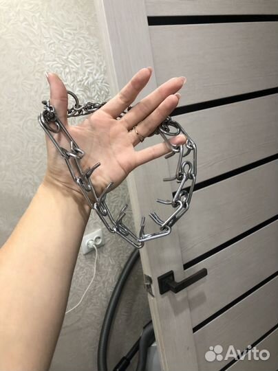 Ошейник для собак строгий