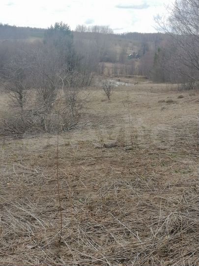 Участок 30 сот. (ИЖС)