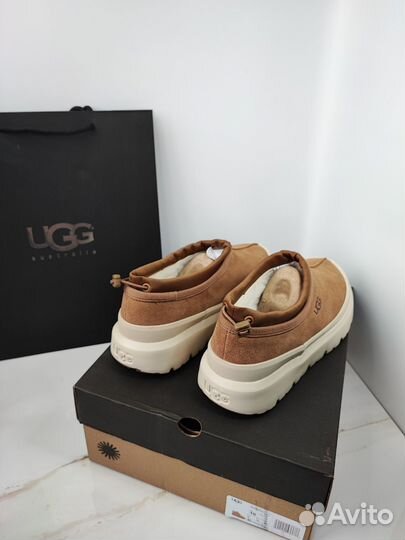 Угги UGG Tasman Hybrid женские и мужские