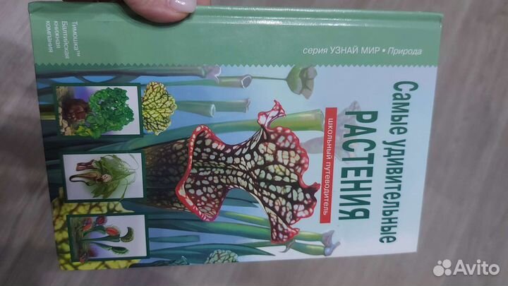 Энциклопедия