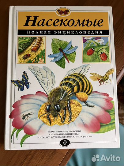 Энциклопедия