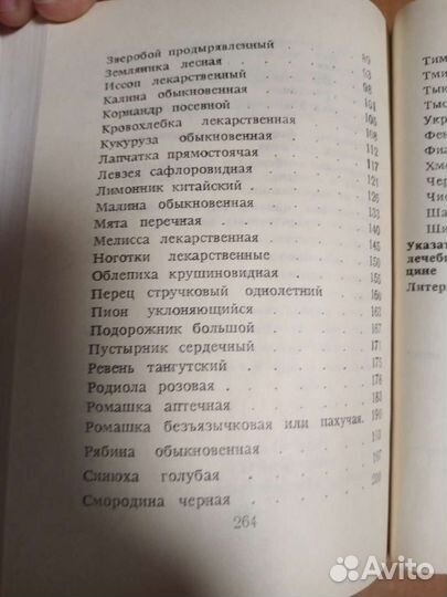 Книга-Лекарственные растения на грядках