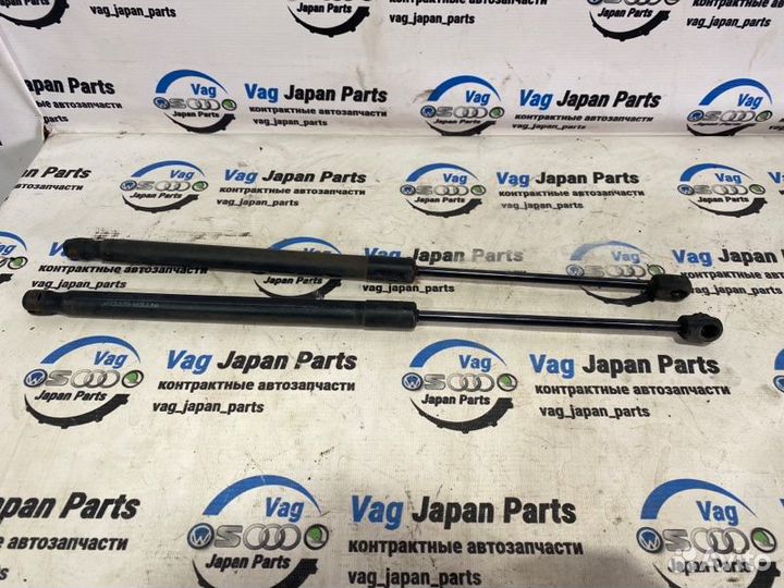 Амортизатор двери багажника задний Audi A4 B7 BWE