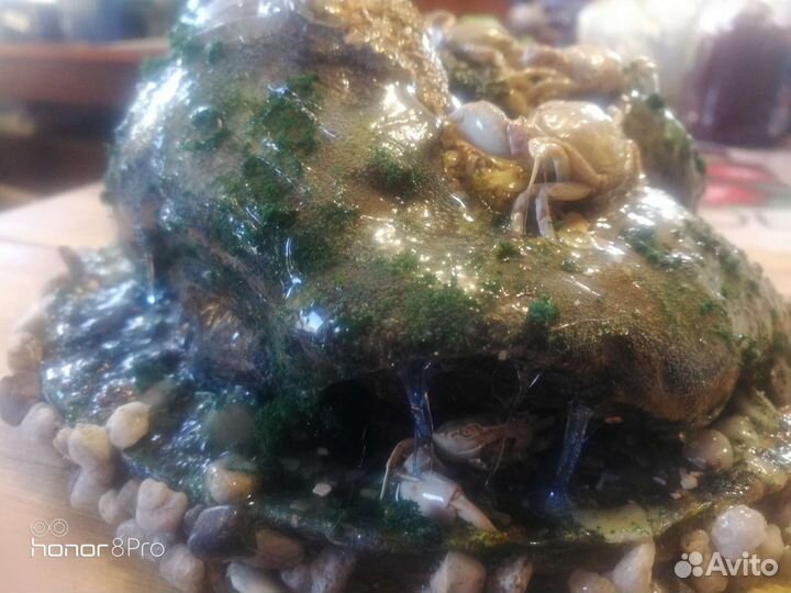 Сувениры с крабами ручная работа для коллекции