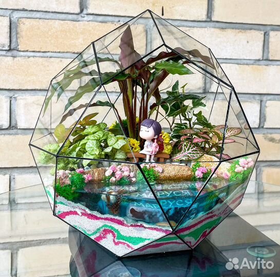 Флорариумы, моссариумы, суккуленты
