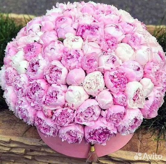 Пионы Букет пионов Доставка цветов