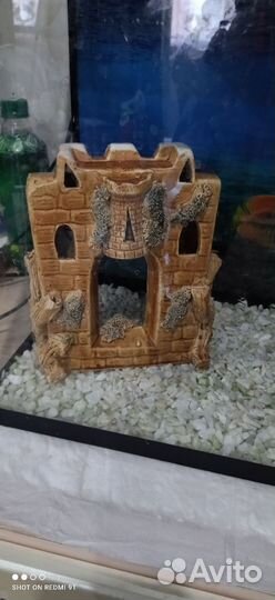 Аквариум 50 л