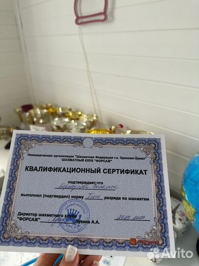 Тренер по шахматам Репетитор по шахматам