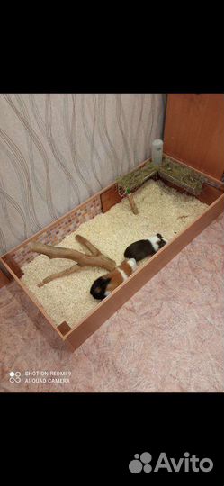 Продам загон для грызунов