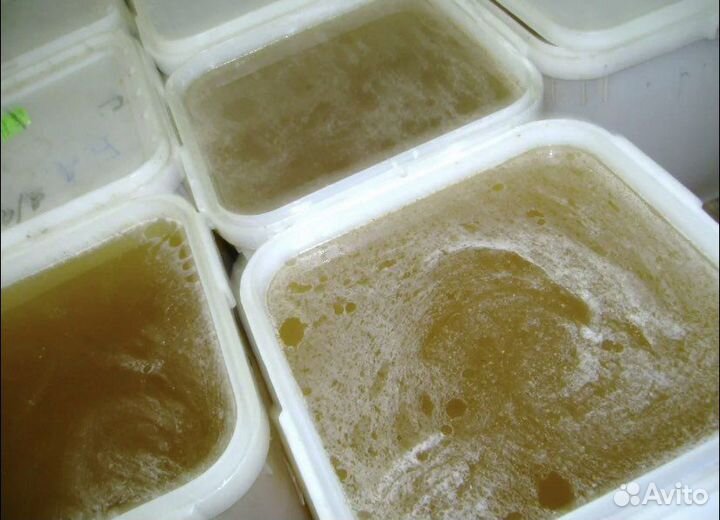 Свежий мед 2023 года с доставкой