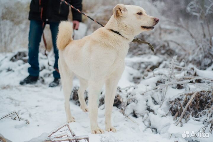 Белуччи хочет найти мам пап
