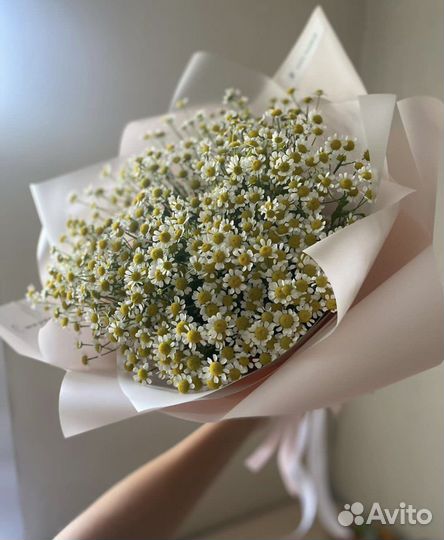 Ромашки, букеты с ромашками