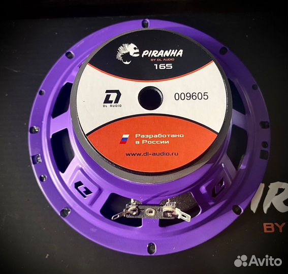 Dl audio Piranha 165