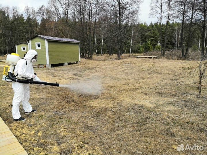 Обработка участка от клещей, комаров, мошек