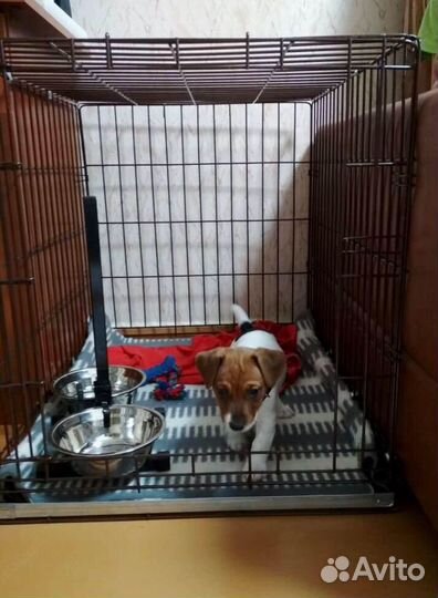 Вольер для собак новый