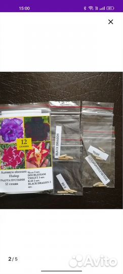 Сеянцы Адениума