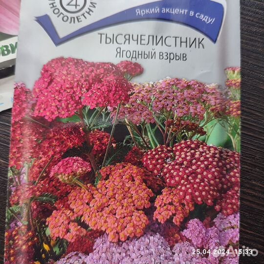 Рассада цветов