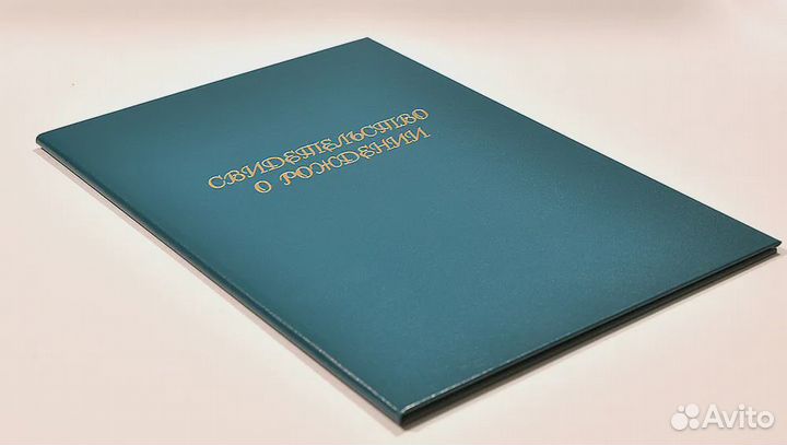 Папка А5 Свид-во о рождении синяя Канцбург