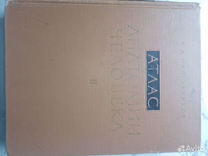 Атлас анатомии человека. Р.Д. Синельников