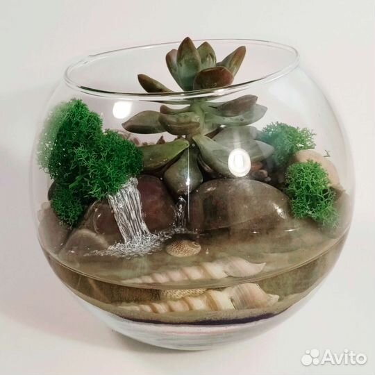 Флорариум с водоемом