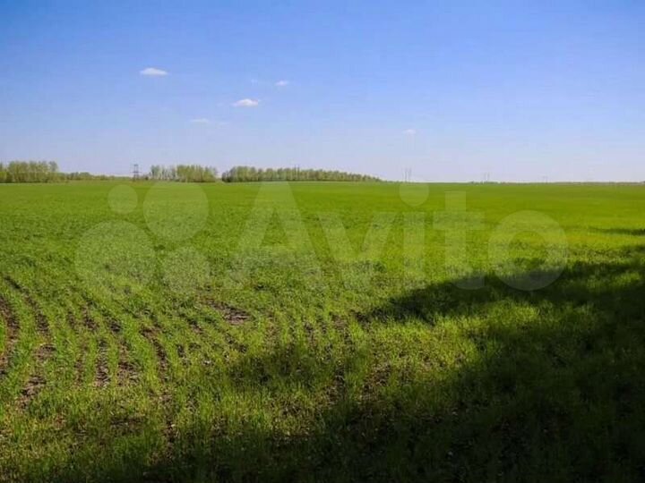 Участок 35,6 га (СНТ, ДНП)