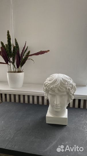 Аренда фотостудии