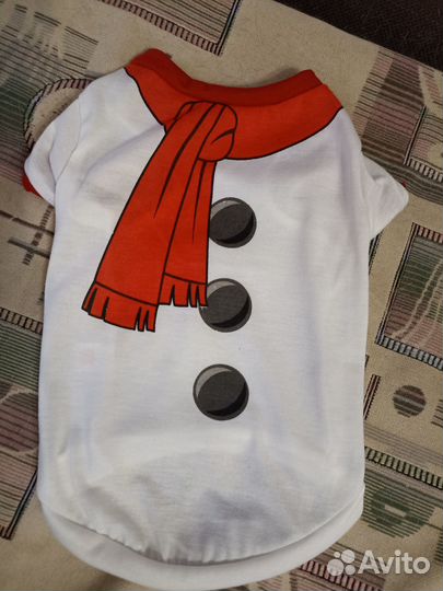 Одежда для собак